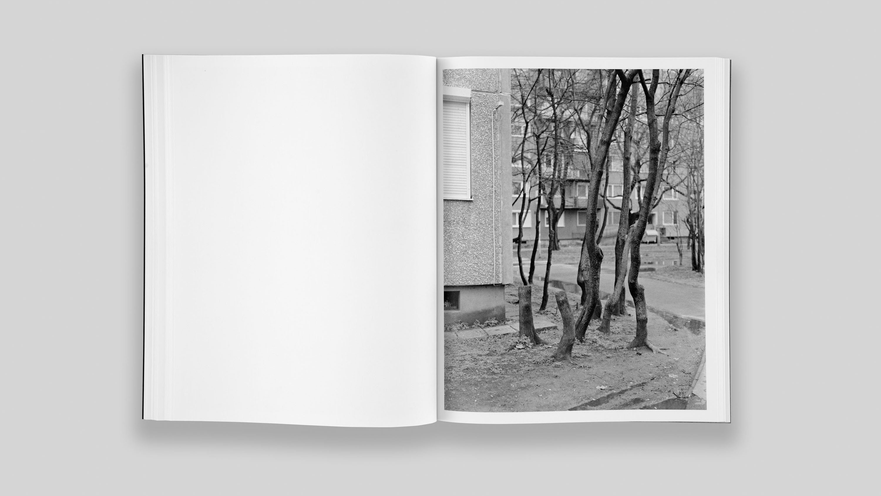 image copyright bertrand cavalier, concrete doesn't burn, 2020, book published by fw:books