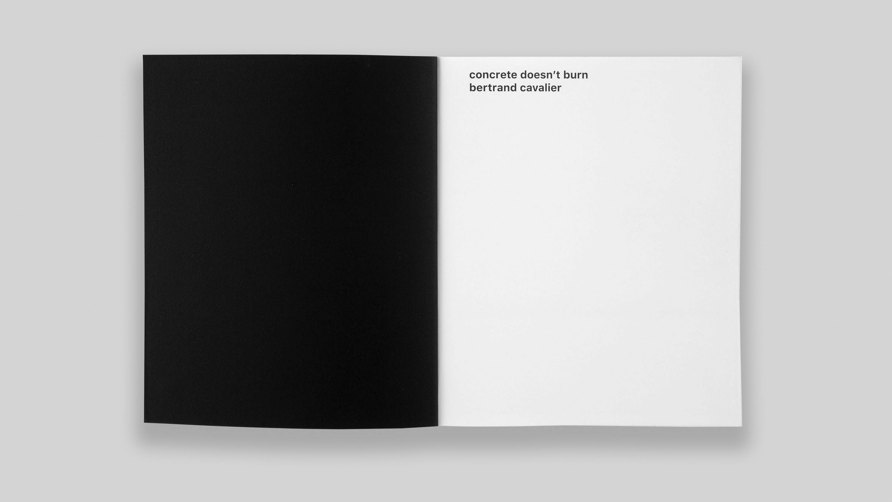 bertrand cavalier concrete doesn't burn book published by fw:books 2020