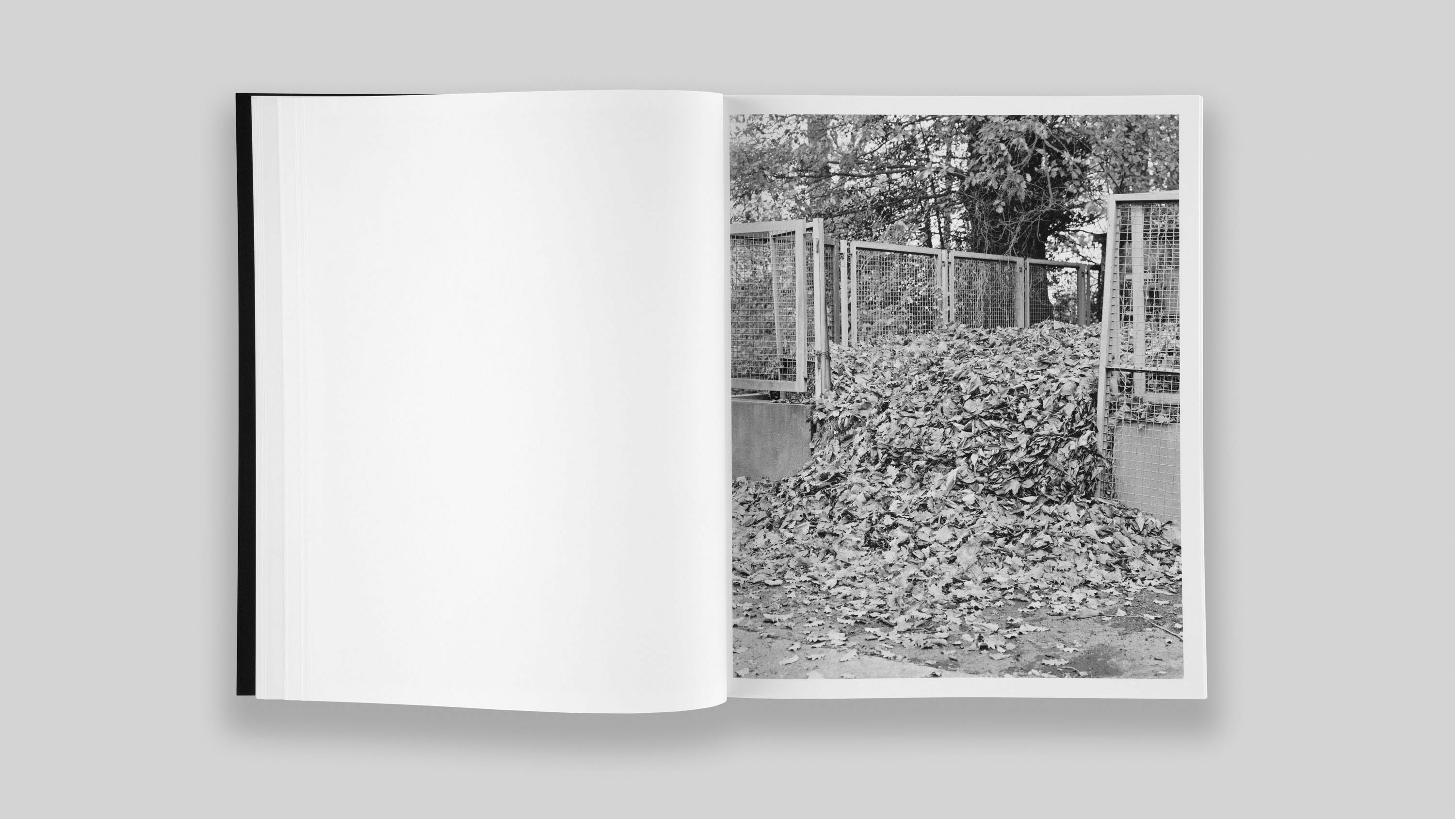 bertrand cavalier concrete doesn't burn book published by fw:books 2020