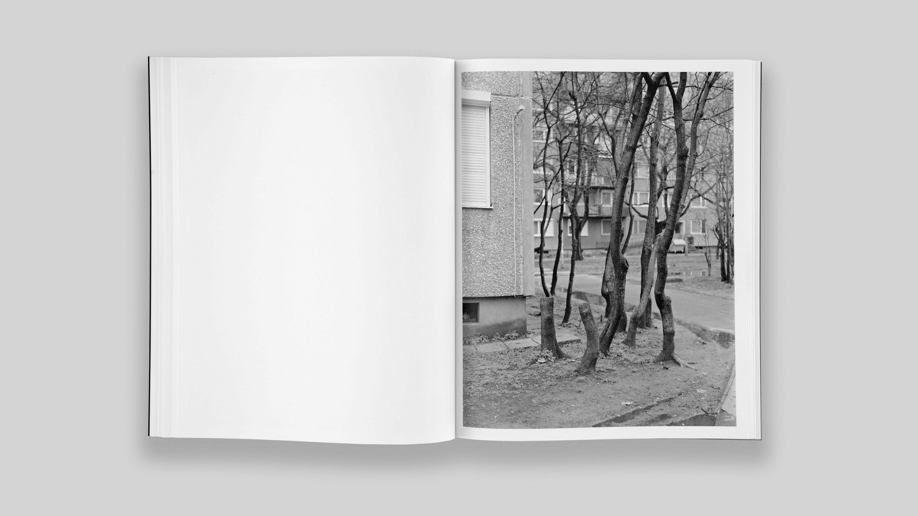 bertrand cavalier concrete doesn't burn book published by fw:books 2020